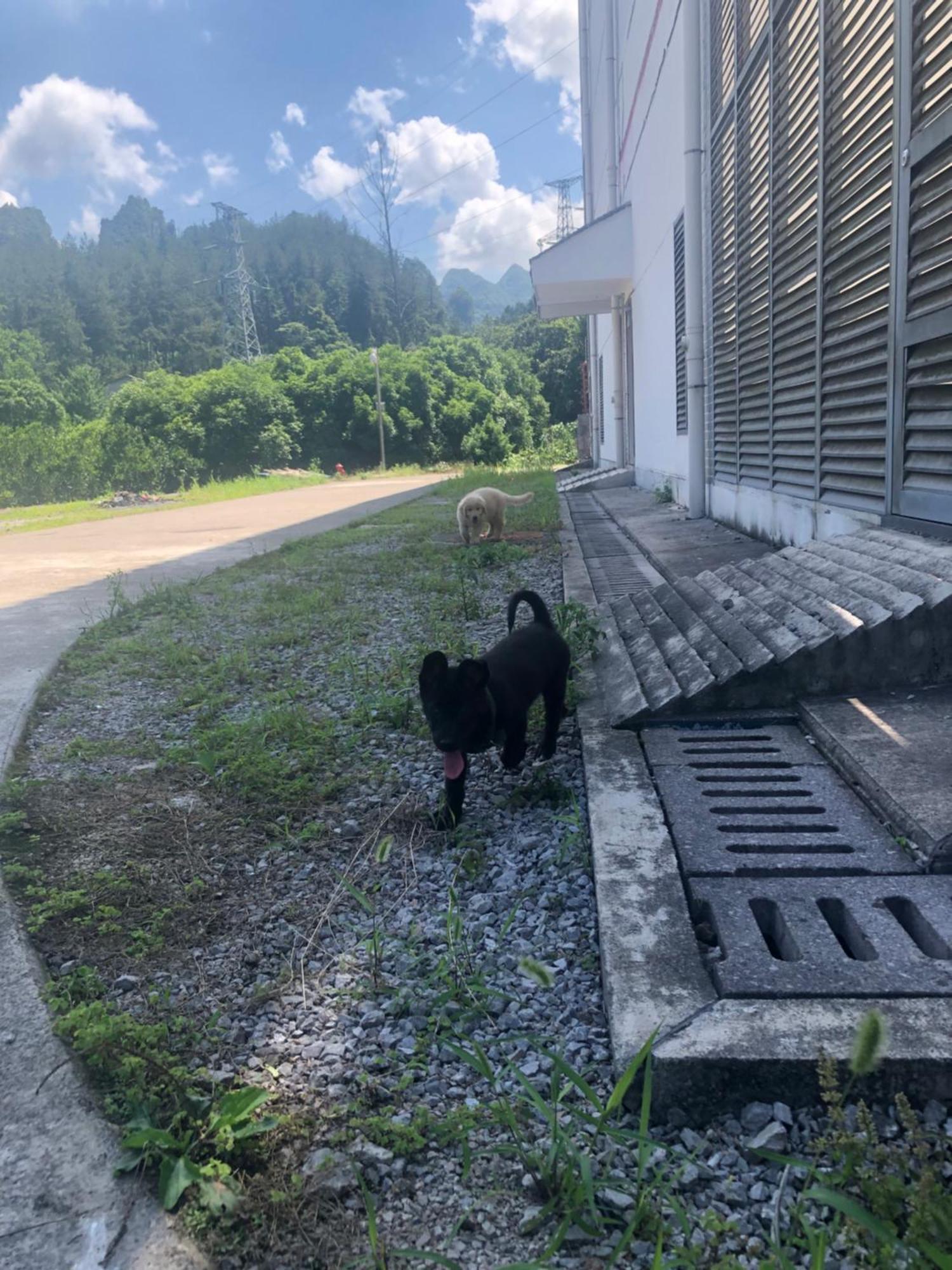 张家界 栖心阁酒店 外观 照片